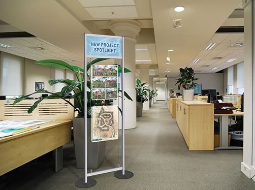 Display Stands